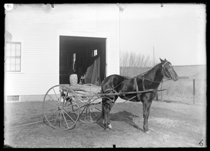 Horse and two-wheeled cart