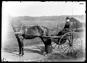 Stella Good in horse and buggy