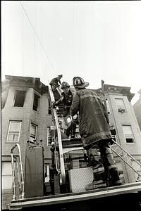 On a ladder