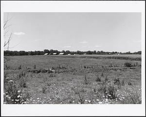 Fields opposite Town Farm