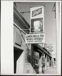 Lower Mills