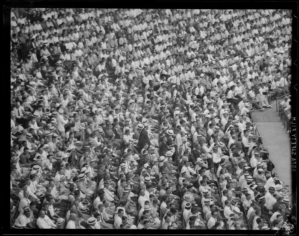 Crowd in stands, Harvard's Soldiers Field