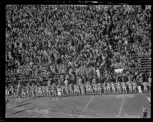 Football game: crowd and players