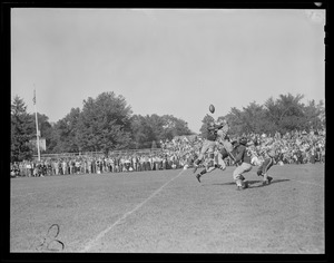 High school action at White Stadium