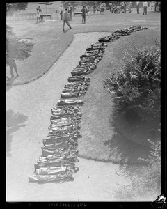 Golf bags arrayed on grounds
