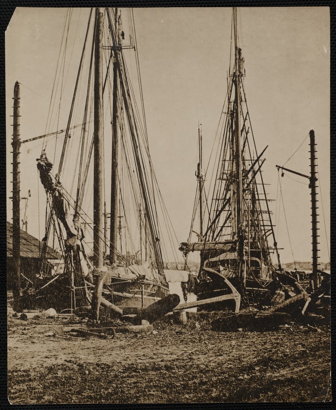 Whalers at Dock