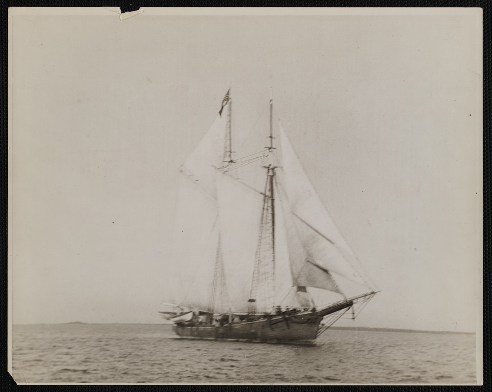Sailing Ship