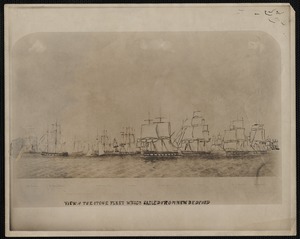 View of the Stone Fleet Which Sailed from New Bedford Nov. 16th 1851