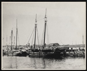 Docked Whaling Ships