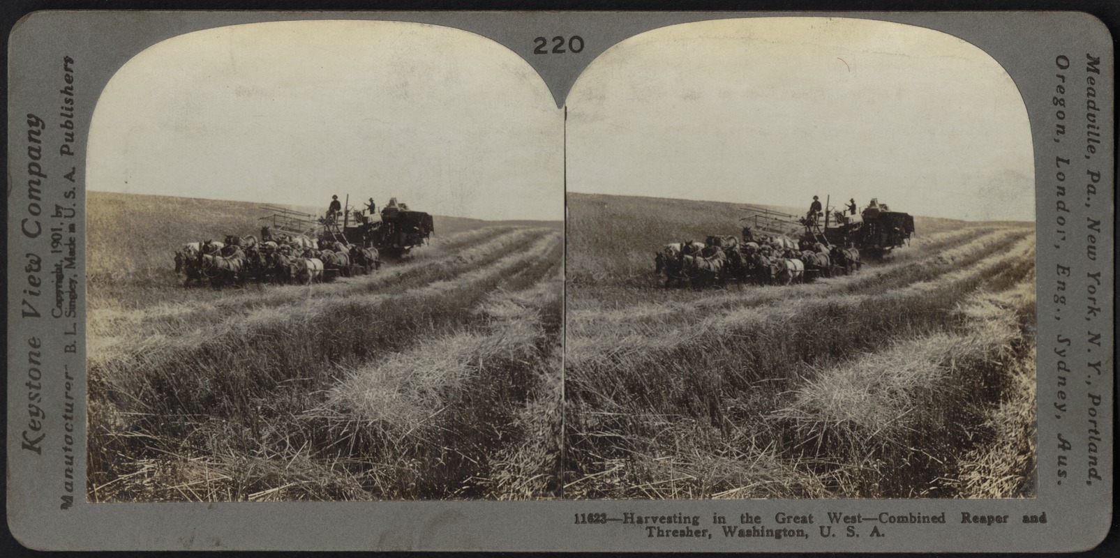 Harvesting in the west, combined reaper and thresher, Washington
