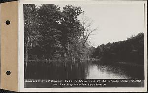 Shore line of Beaver Lake, Ware, Mass., Jun. 23, 1936