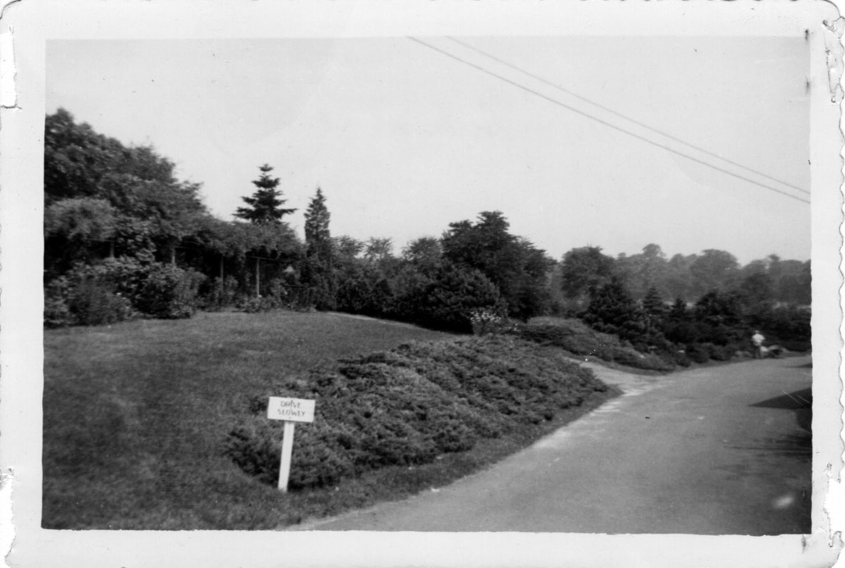 Mount Auburn Cemetery.