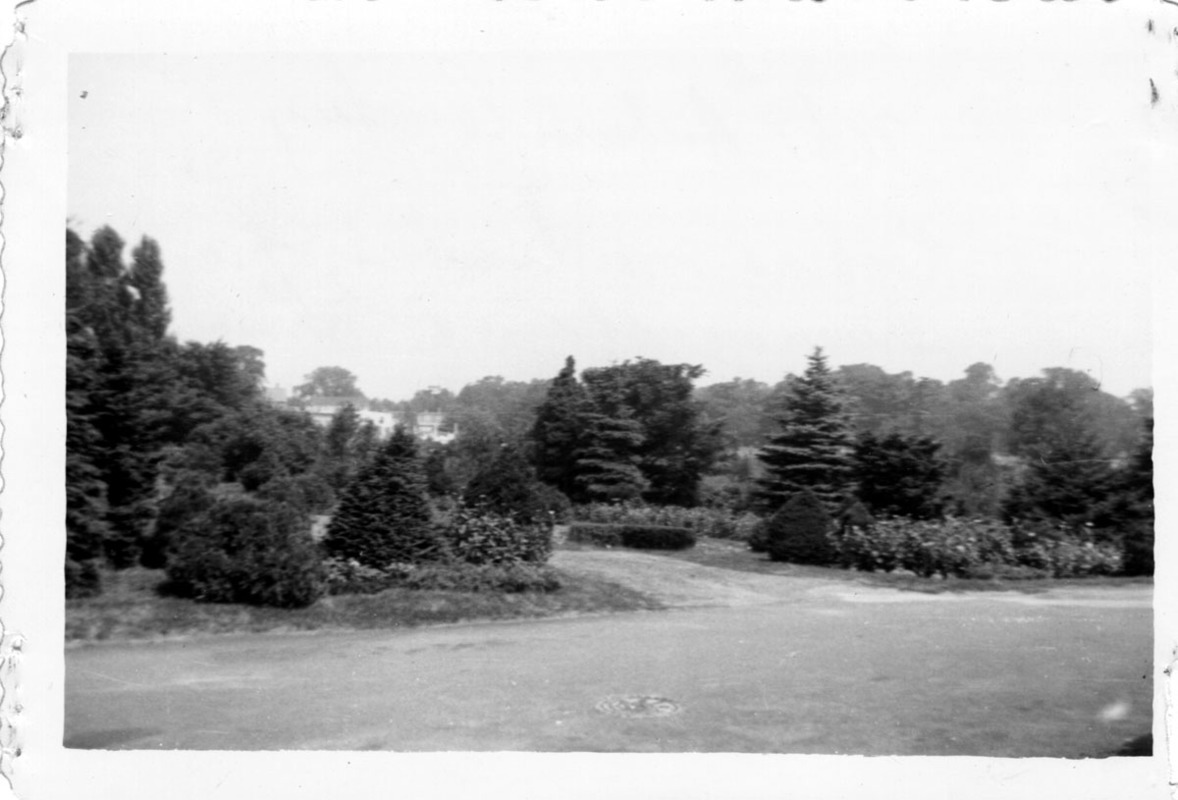Mount Auburn Cemetery.