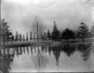 Stickney Pond, 1894.
