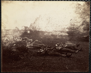 Dead soldiers in wheat field on Confederate right