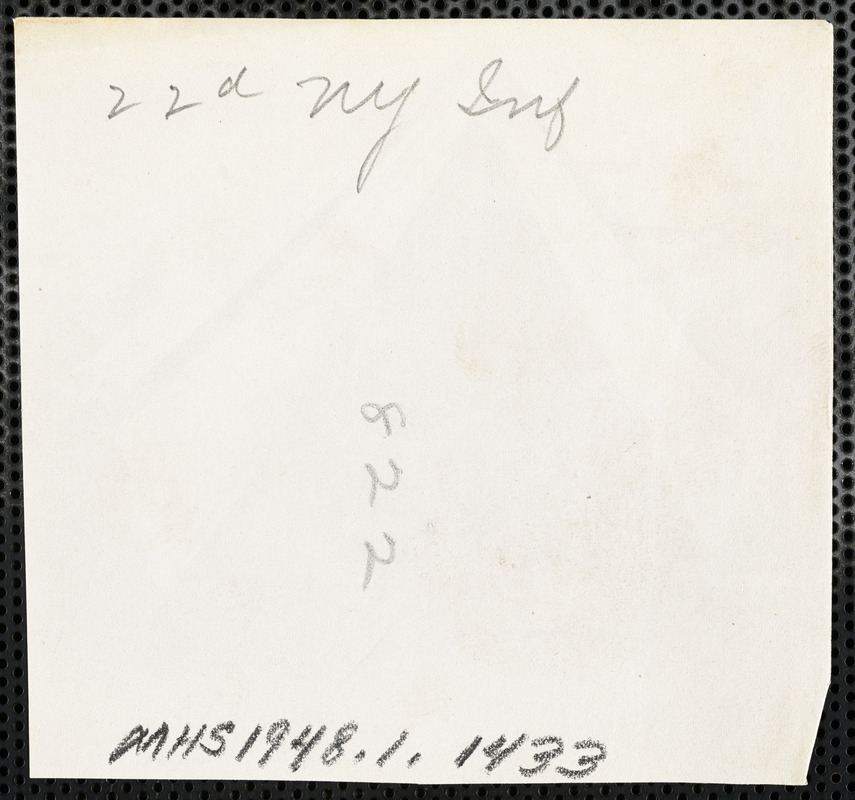 22nd New York Infantry