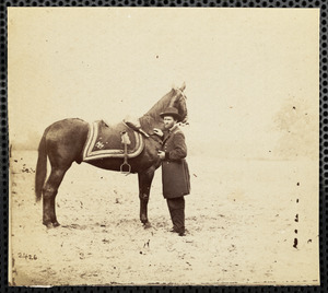 Horse "Lexington" C [Cold] Harbor, Virginia, June 14, 1864