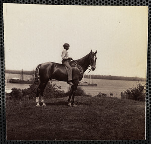 Horse of General John A. Rawlins at Cold Harbor, Virginia