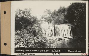 Whiting Pond Dam, Albert H. Moss, Oakham, Mass., Jul. 2, 1930