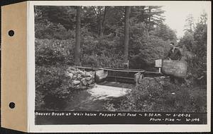 Beaver Brook at weir below Pepper's mill pond dam, Ware, Mass., 9:30 AM, Jun. 24, 1936