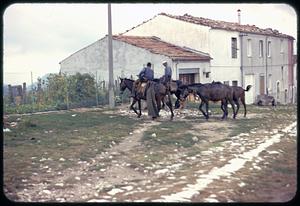 Men riding horses, Roccasicura, Italy