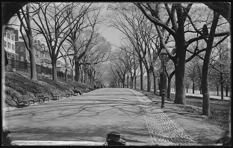 Beacon Street Mall, Boston Common