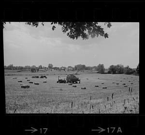 Hay field at Colby Farm in Newbury