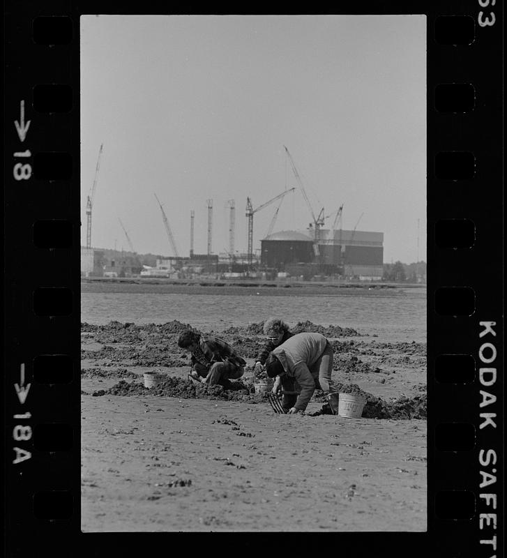 Seabrook clam diggers