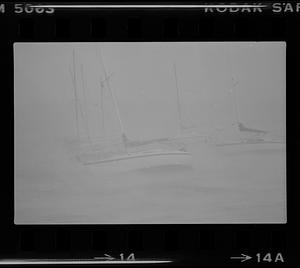 Boats on water during Hurricane David