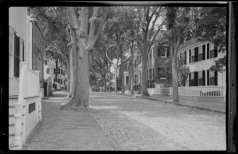 Tree-lined cobblestone street, Nantucket