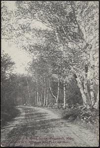 A road scene, Pepperell