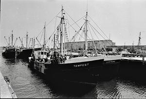 Tempest and Luzitano in Gloucester Harbor