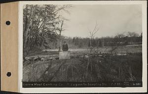 Barre Wool Combing Co., lagoon and sampling station, Barre, Mass., Feb. 3, 1933