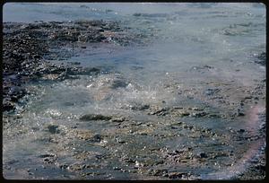 Close view of spring with mud, Yellowstone National Park