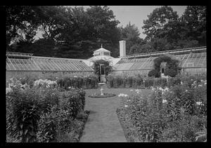 White garden and greenhouse at Mrs. W. H. Moore's