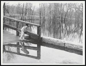 A child looking at Concord River from North Bridge, Concord
