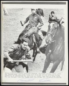 Mounted policemen gallop toward anti-war demonstrator who stole billy club from one of the officers during gathering of Moratorium Day marchers at Golden Gate Park's Pole Field. The man escaped into the bushes with his prize.
