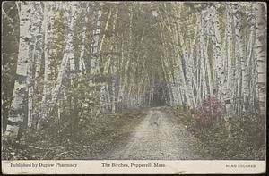 The Birches, Pepperell Springs