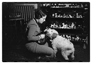 Miss Liddie A Livevey, collector of miniature dogs, 400, 1 live one