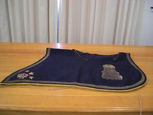 American saddle blanket