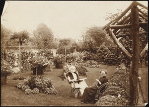 Garden scenes