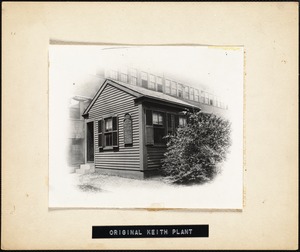 Original Keith plant