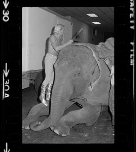 Gunther Gebel-Williams and an elephant