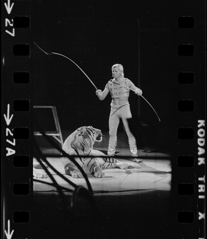 Gunther Gebel-Williams in circus ring taming a tiger