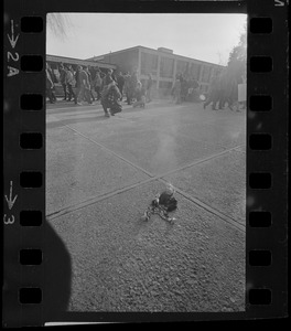 Symbolic doll seen on ground during Vietnam protest and sit-in at Brandeis University