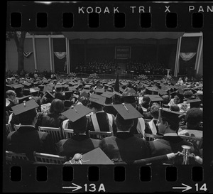View of stage over student's heads at Brandeis University commencement exercises