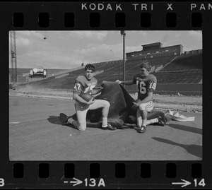 Boston University football players kneeling on field holding piece of turf