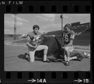 Boston University football players kneeling on field holding piece of turf