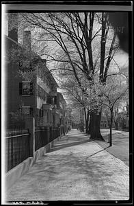 Street scene