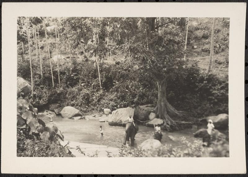 People riding elephants in a river